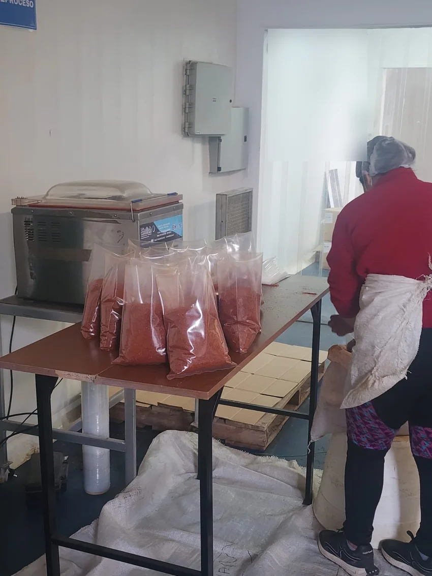 Línea de envasado de Picor