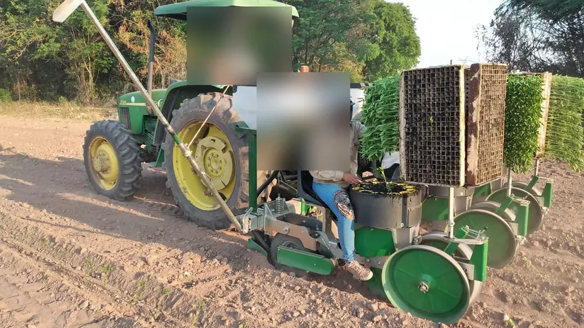 Plantación mecanizada con tractor